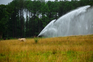 Big Gun Sprinkler Irrigation Georgia
